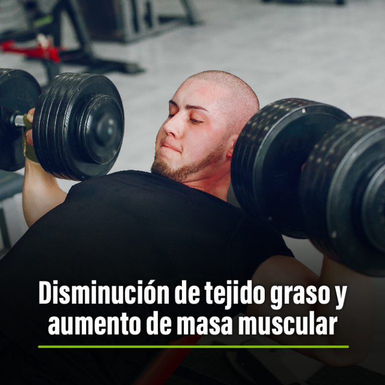 Personal Dimension / Campos de Accion_Disminución de Tejido Graso